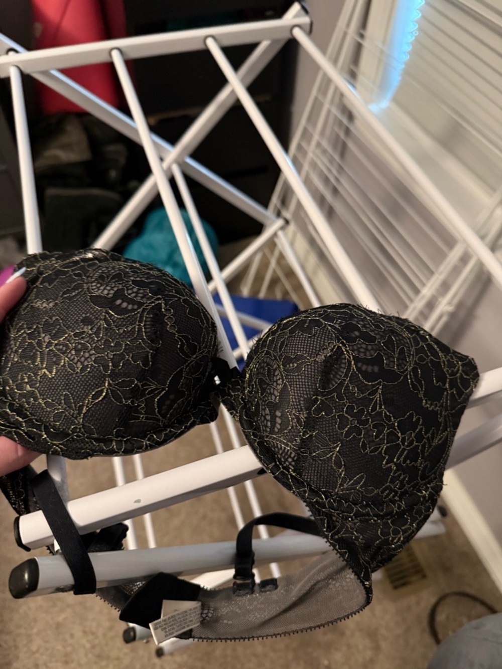 Aerie Emma Black Lace Push-Up Bra with Gold Accent